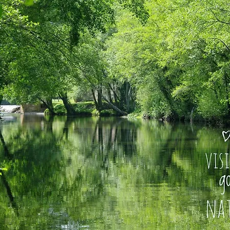 - Belas Vistas Na N2 - Al Góis