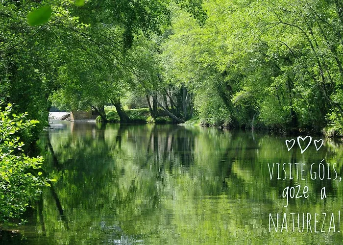 - Belas Vistas Na N2 - Al Góis